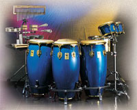 Limited Edition Congas